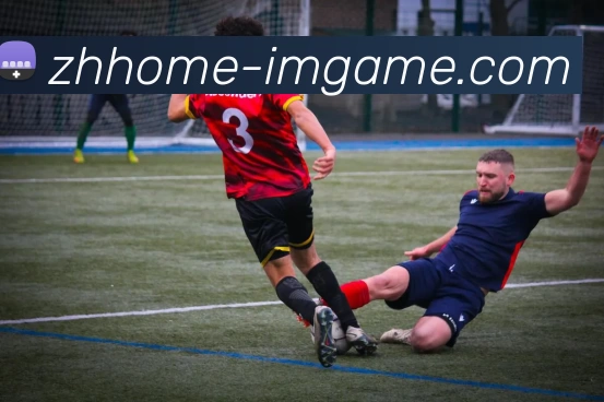 IM体育官网服务体系